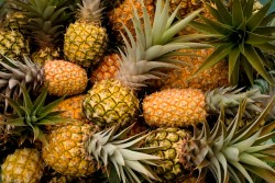 Ananas