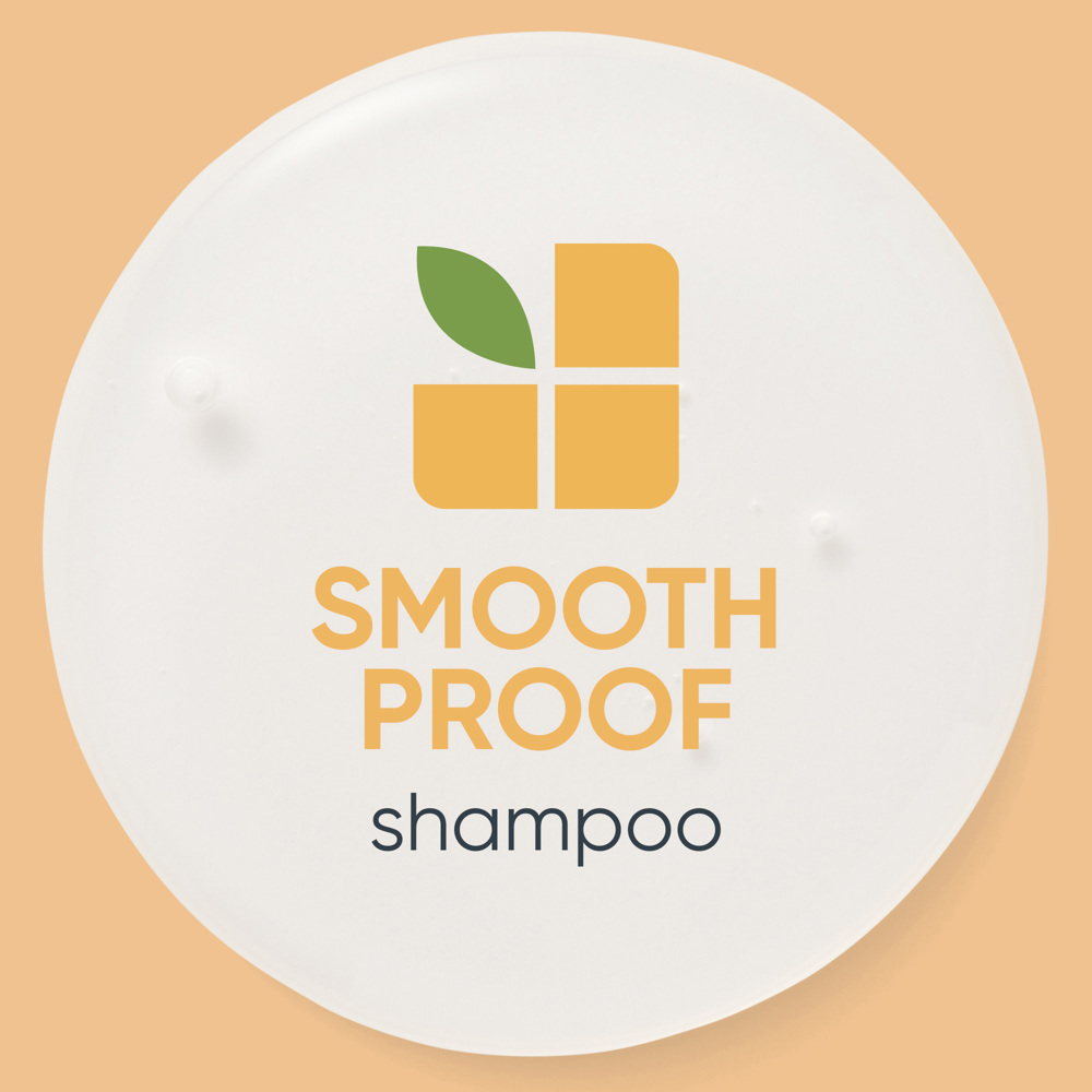 Smooth Proof Shampoo