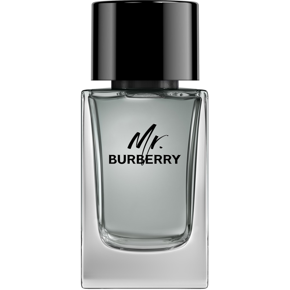 Mr. Burberry, EdT