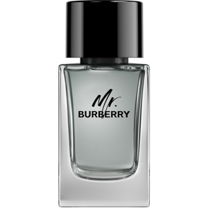 Mr. Burberry, EdT 100ml