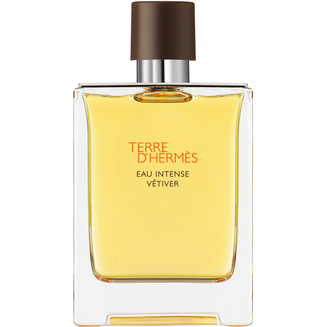 Terre d'Hermès Eau Intense Vétiver, Eau de Parfum 100ml