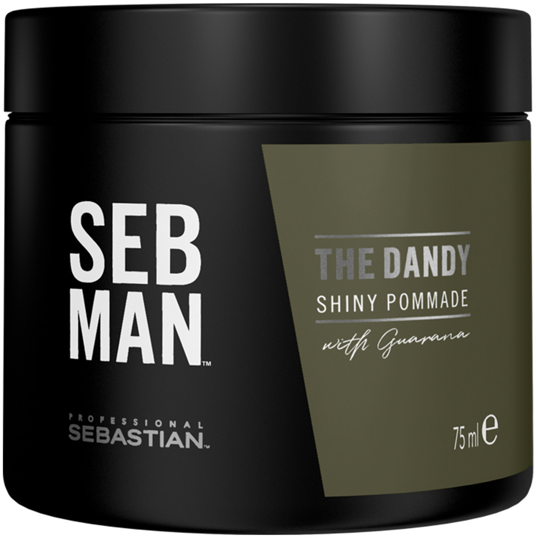 Sebastian SEB Man The Dandy Pomade, 75ml