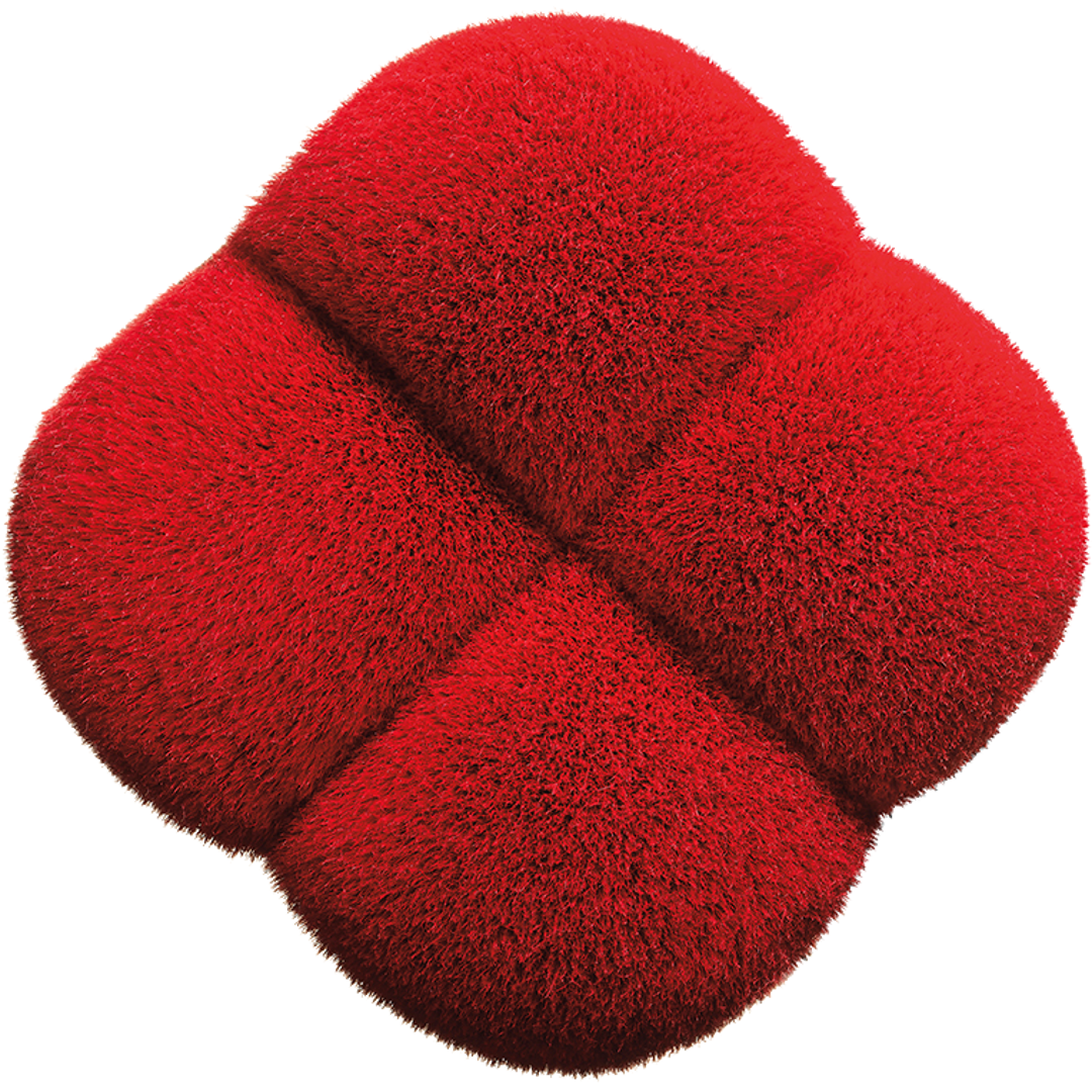 Shiseido Hanatsubaki Hake Face Brush