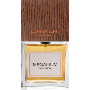 Megalium, EdP