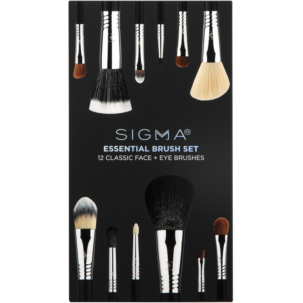 Essential Brush Set