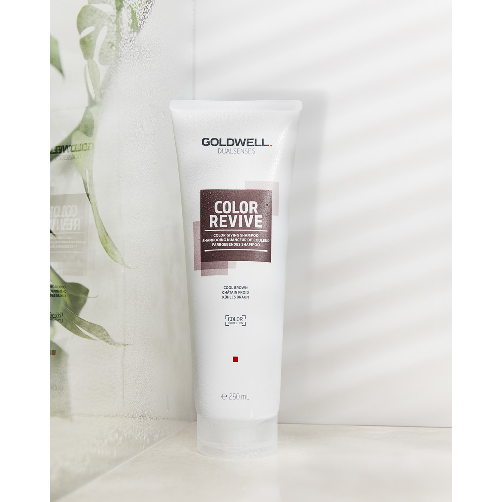 Dualsenses Color Revive Color Giving Shampoo Cool Brown