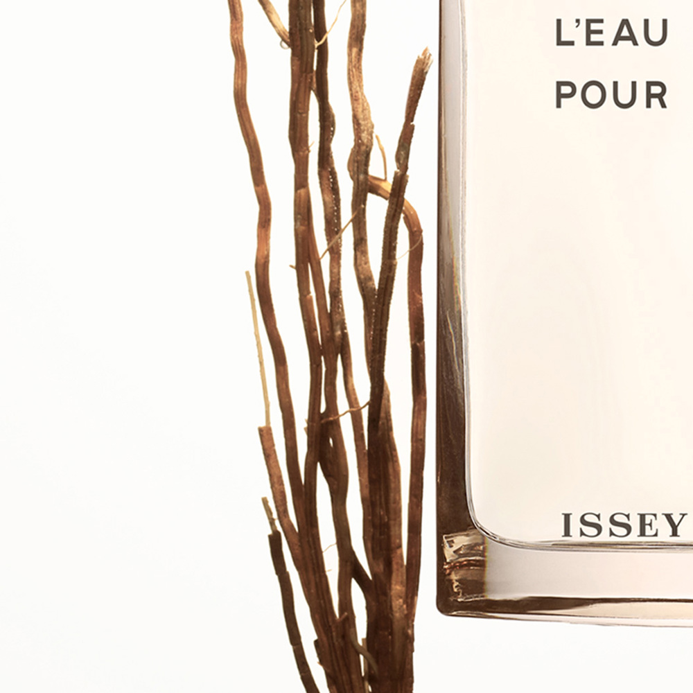 L'Eau d'Issey Vetiver, EdT