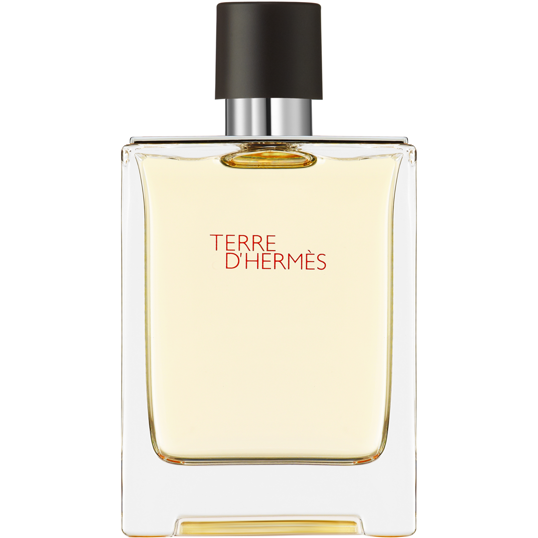 Terre d'Hermès, Eau de Toilette 100ml