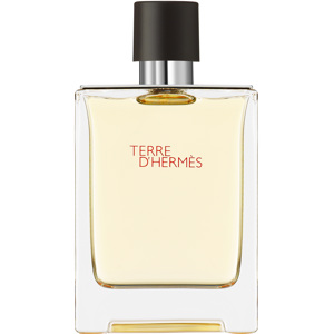 Terre d'Hermès, Eau de Toilette 100ml