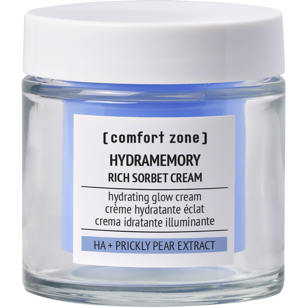 Hydramemory Rich Sorbet Cream