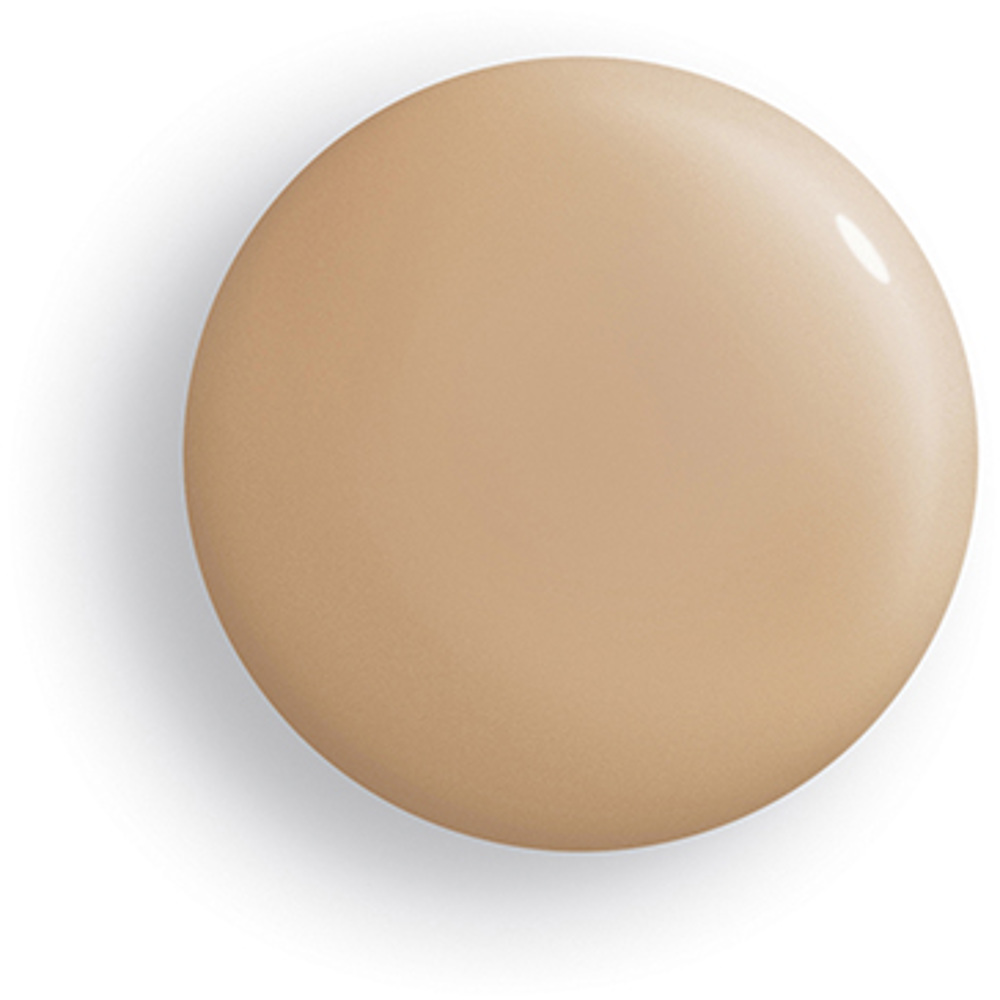 Phyto-Teint Perfection Foundation