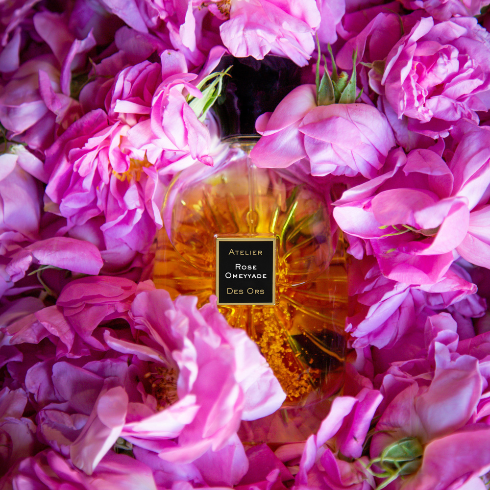 Rose Omeyyade, EdP