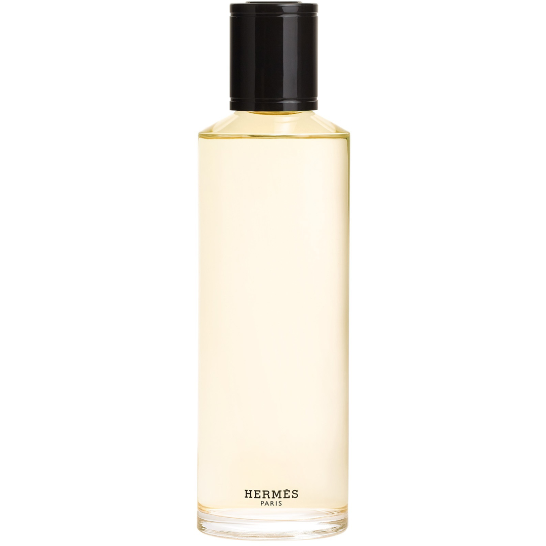 Terre D'hermès, Eau de Parfum Intense 200ml Refill