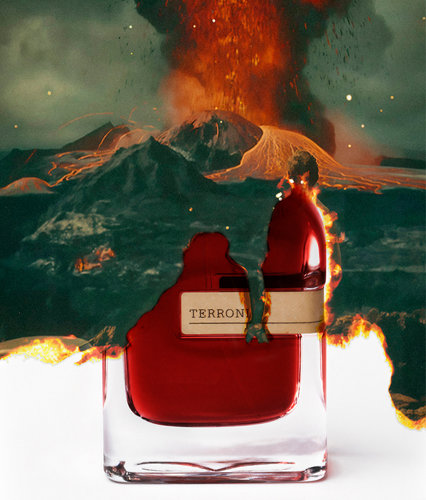 Terroni
