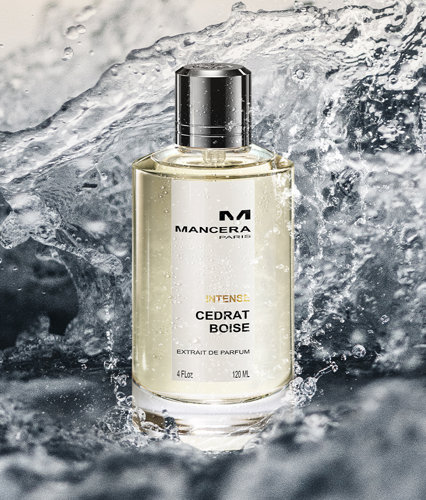 Citrus & Fresh Elegance